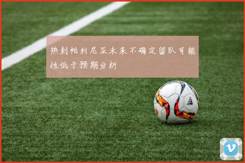 热刺帕利尼亚未来不确定留队可能性低于预期分析