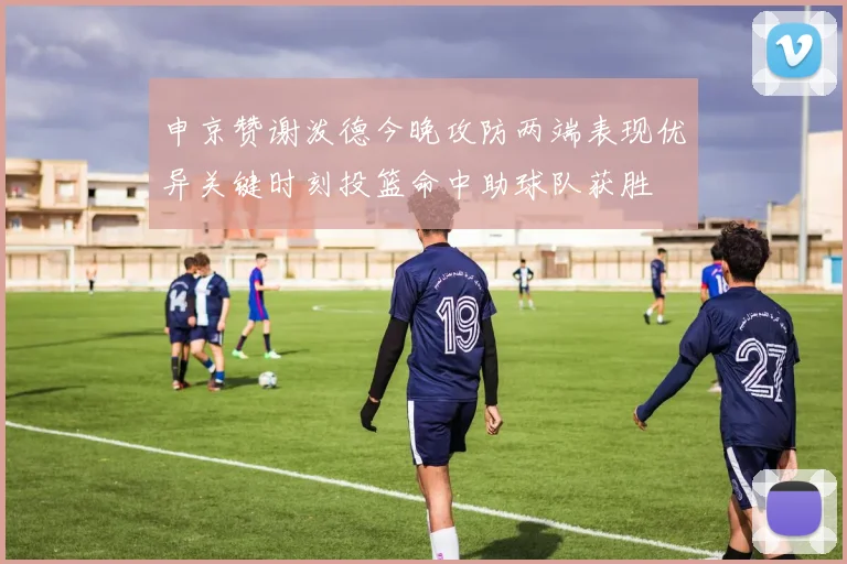 申京赞谢泼德今晚攻防两端表现优异关键时刻投篮命中助球队获胜