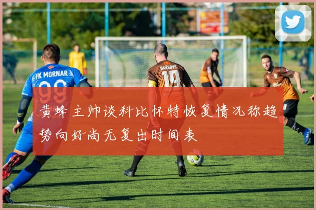 黄蜂主帅谈科比怀特恢复情况称趋势向好尚无复出时间表