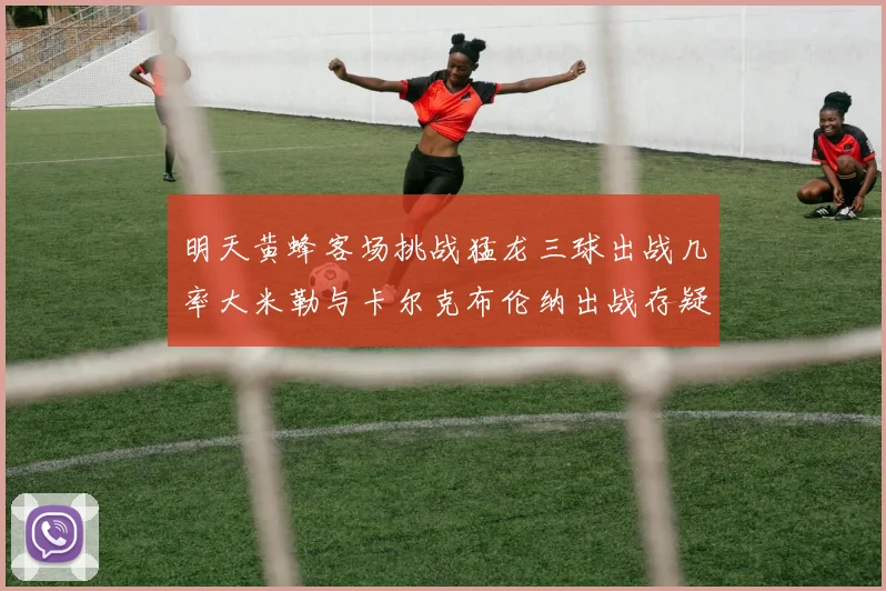 明天黄蜂客场挑战猛龙三球出战几率大米勒与卡尔克布伦纳出战存疑