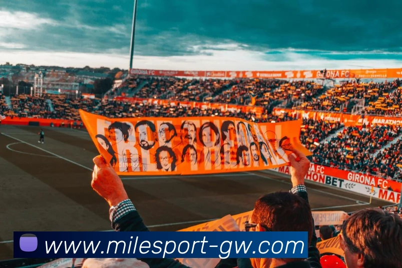 米乐体育服务体系